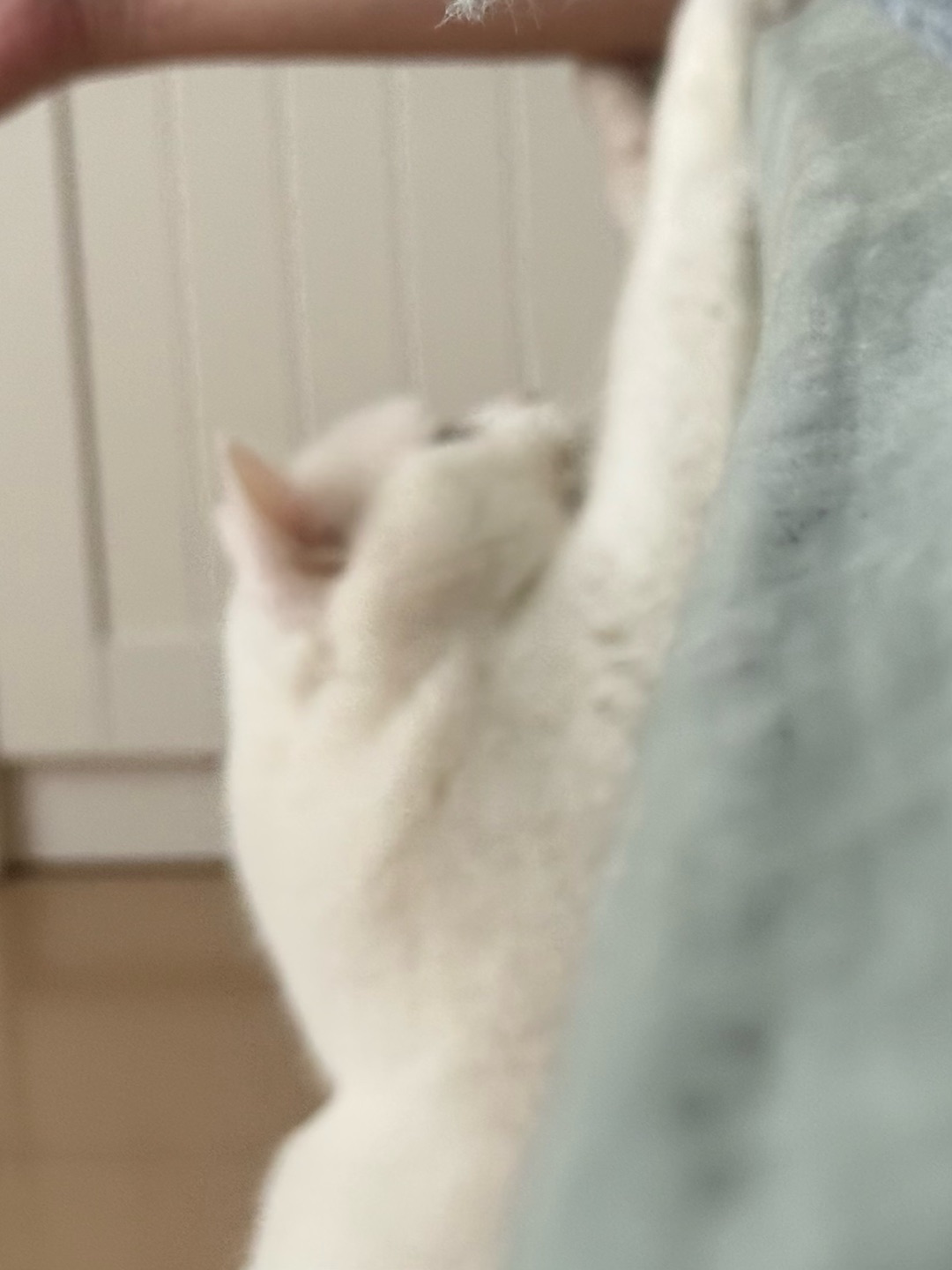 西五街
