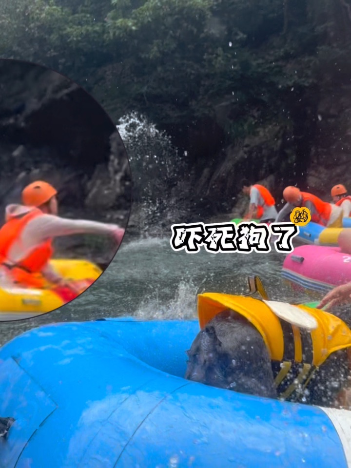 小狗出发 龙王山漂流🌊