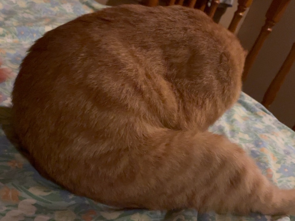 起猛了！看见手枪腿在动！