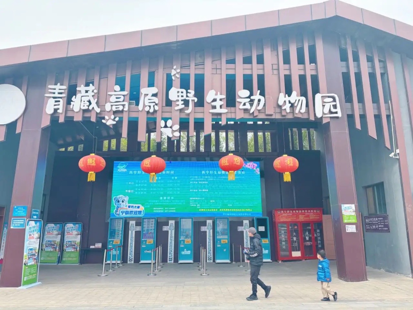 青藏高原野生动物园
