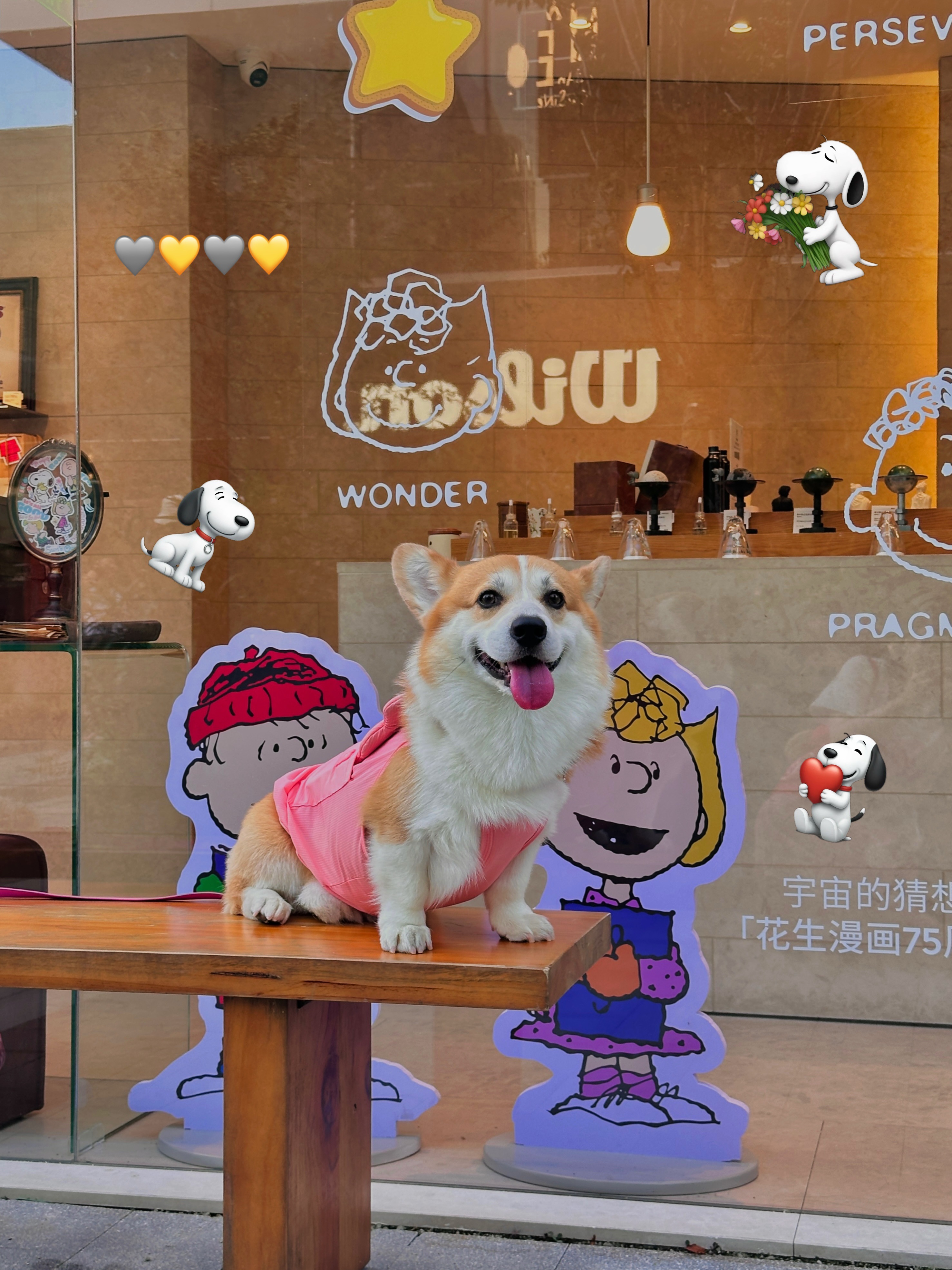谁会拒绝可爱的史努比啊啊啊啊