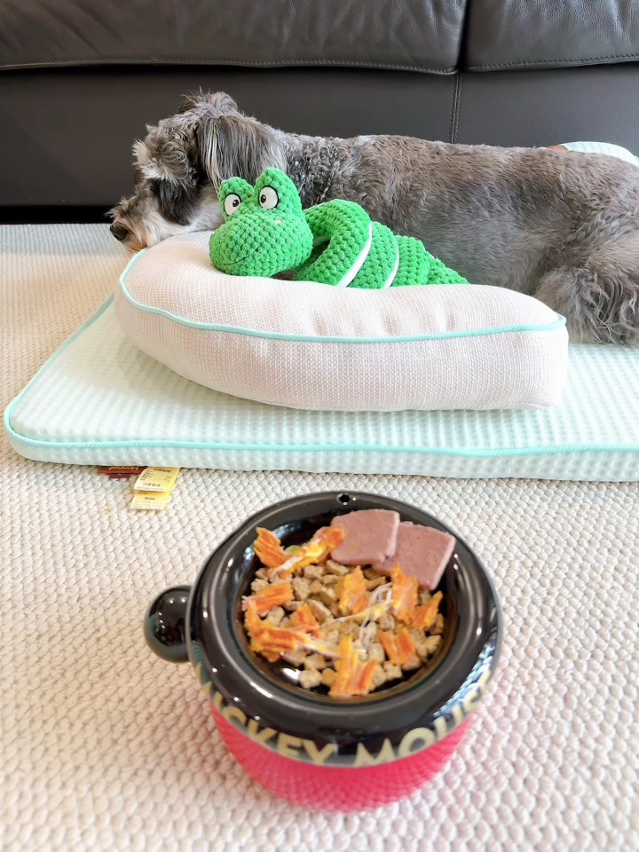 🐕夏季购物🛍️分享