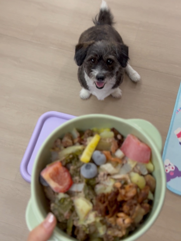美食大餐