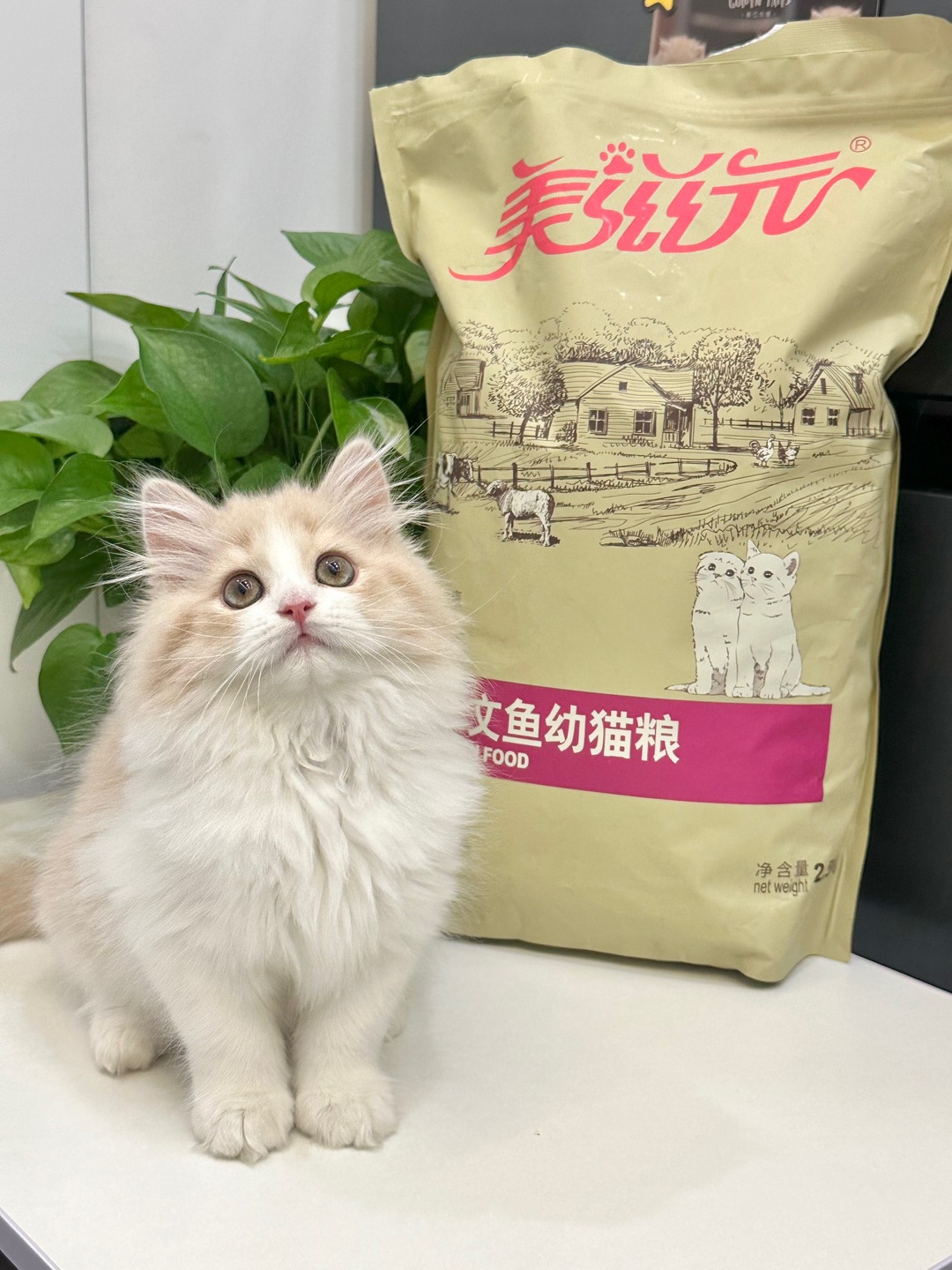 上班咯