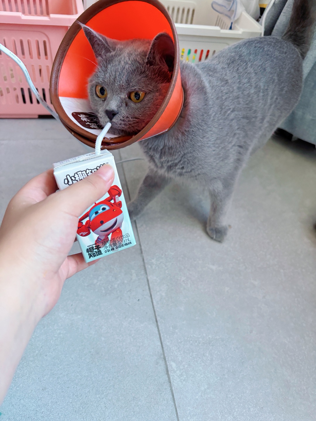 测评椰子知道