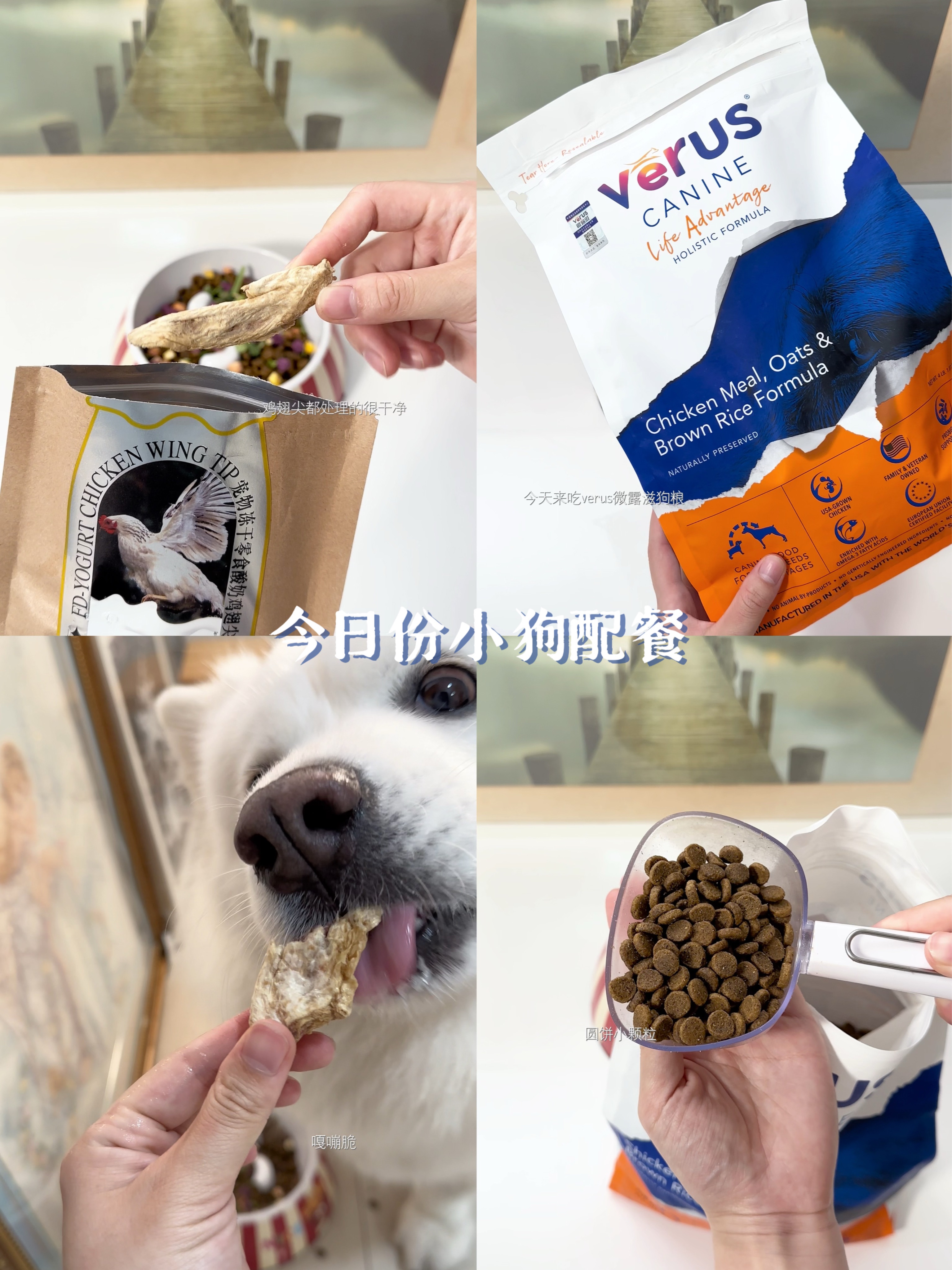 今日份小狗菜单