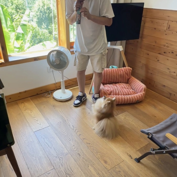 大王，爱妃给你舞一个