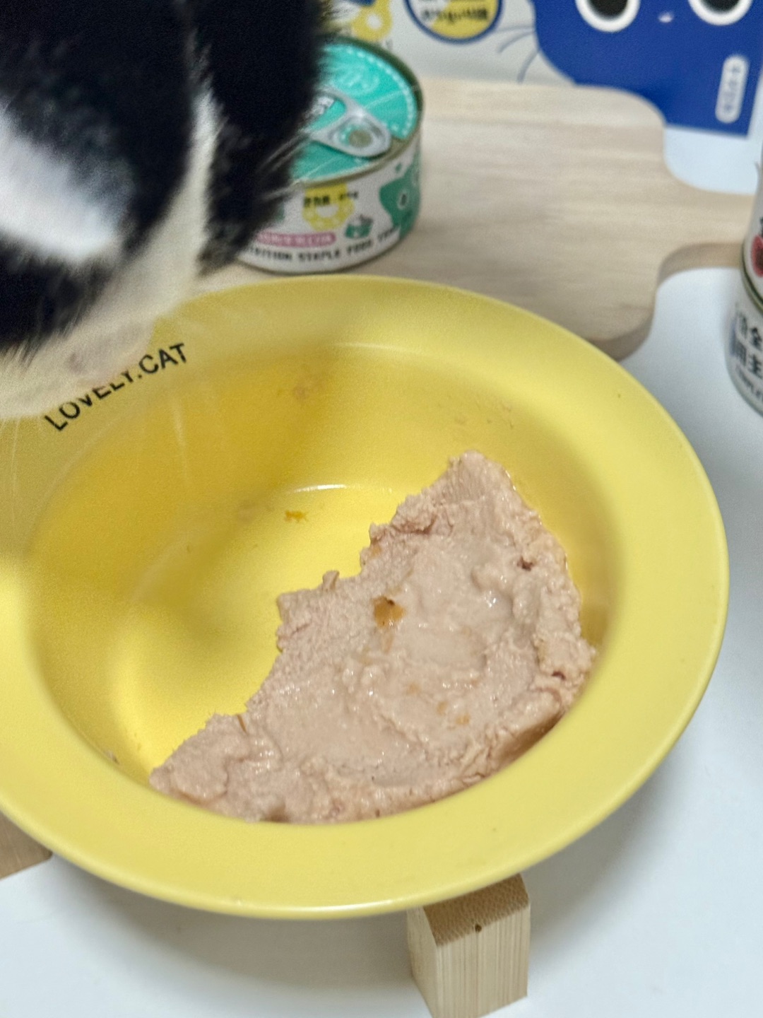 传说中的J猫是这样的吗