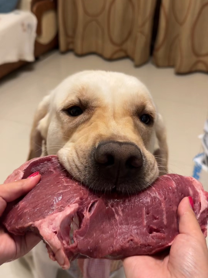 沉浸式吃生骨肉肉