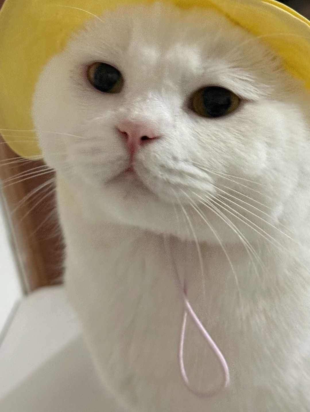 西五街