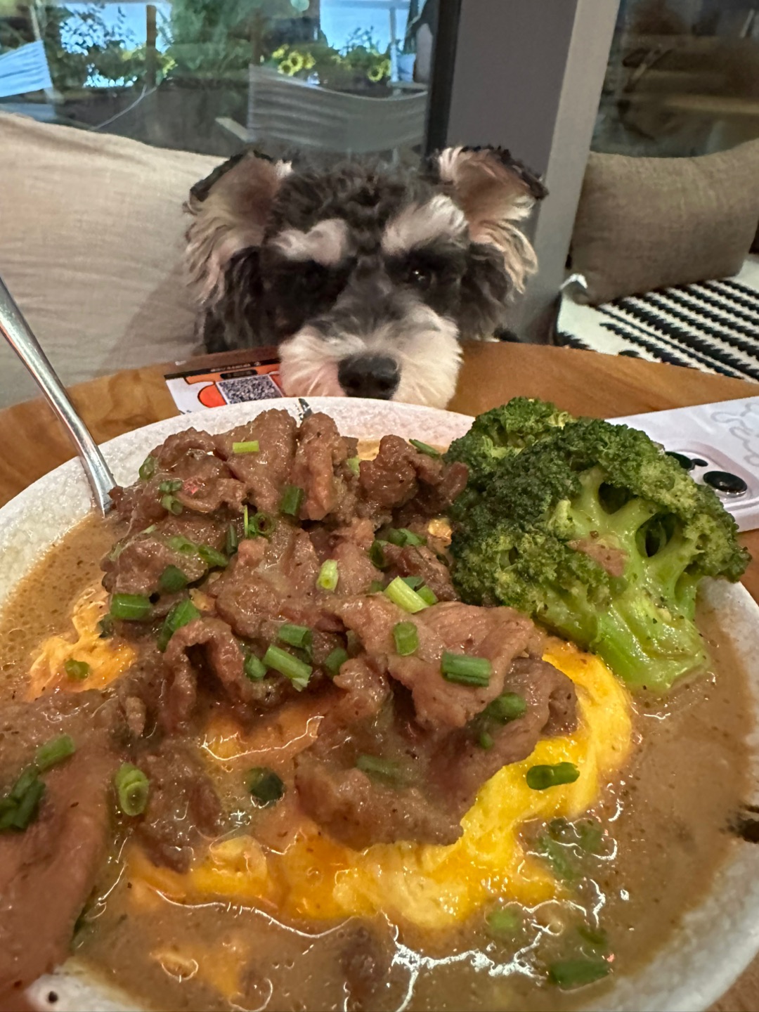 人,这饭,香啊!!!