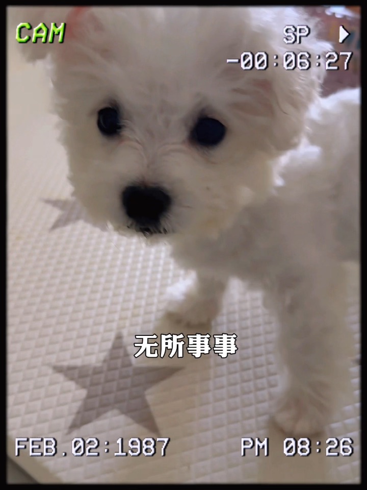 放肆！