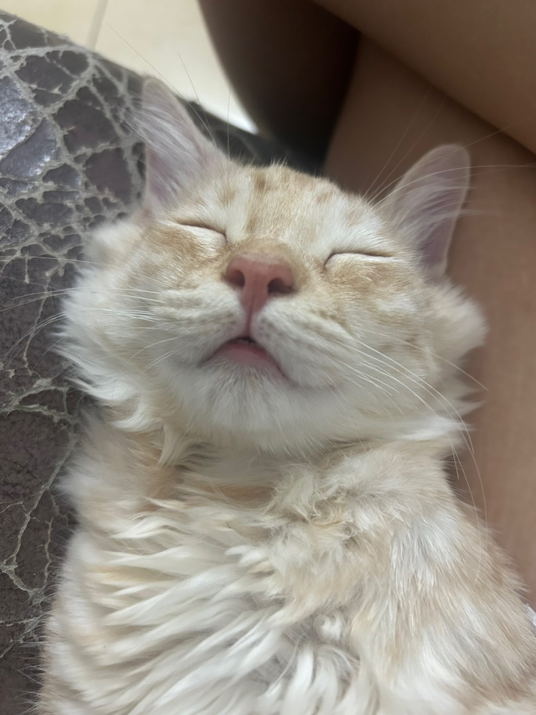 晚安咯💤