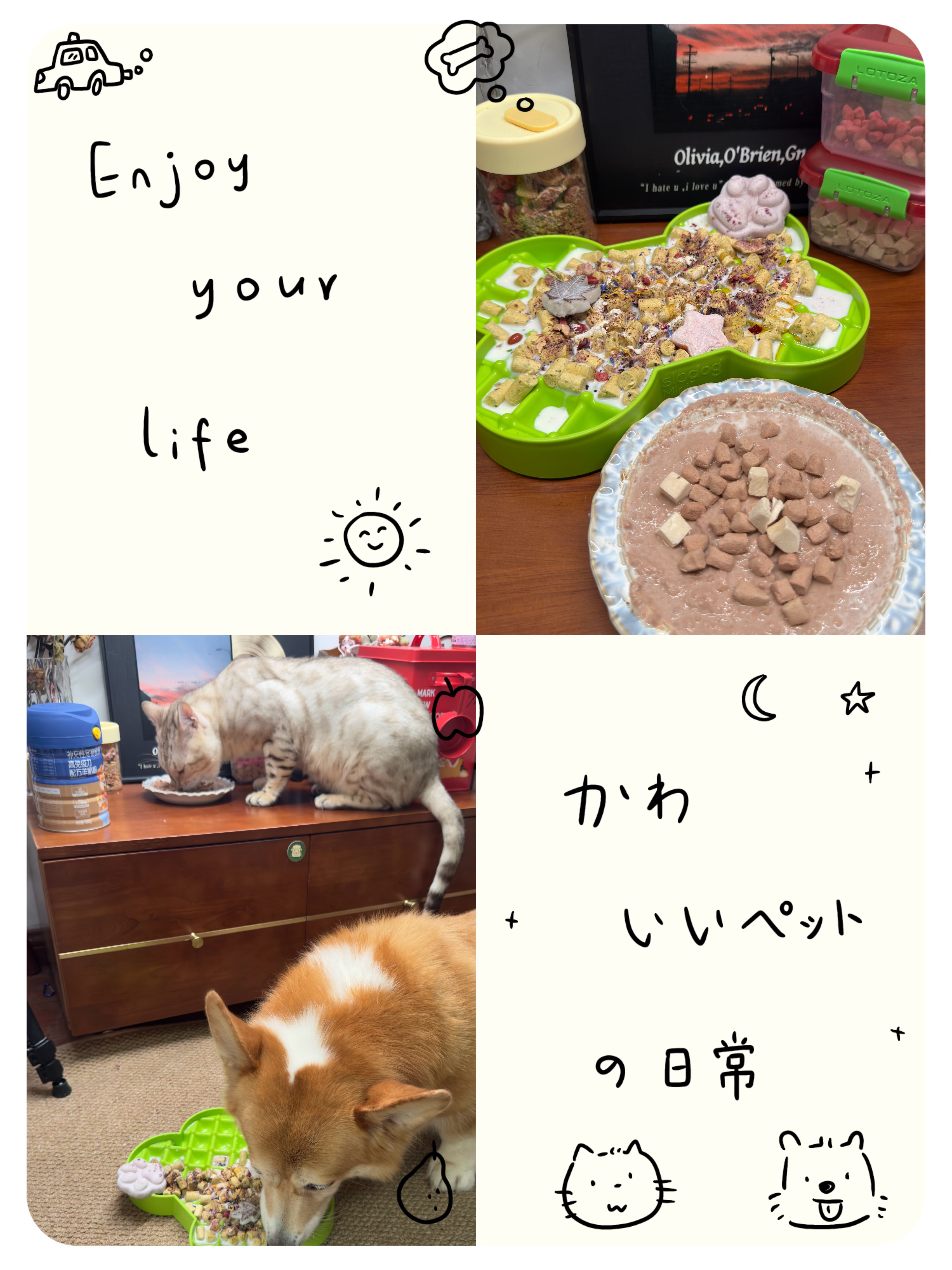 今天两个舍友不吵不闹