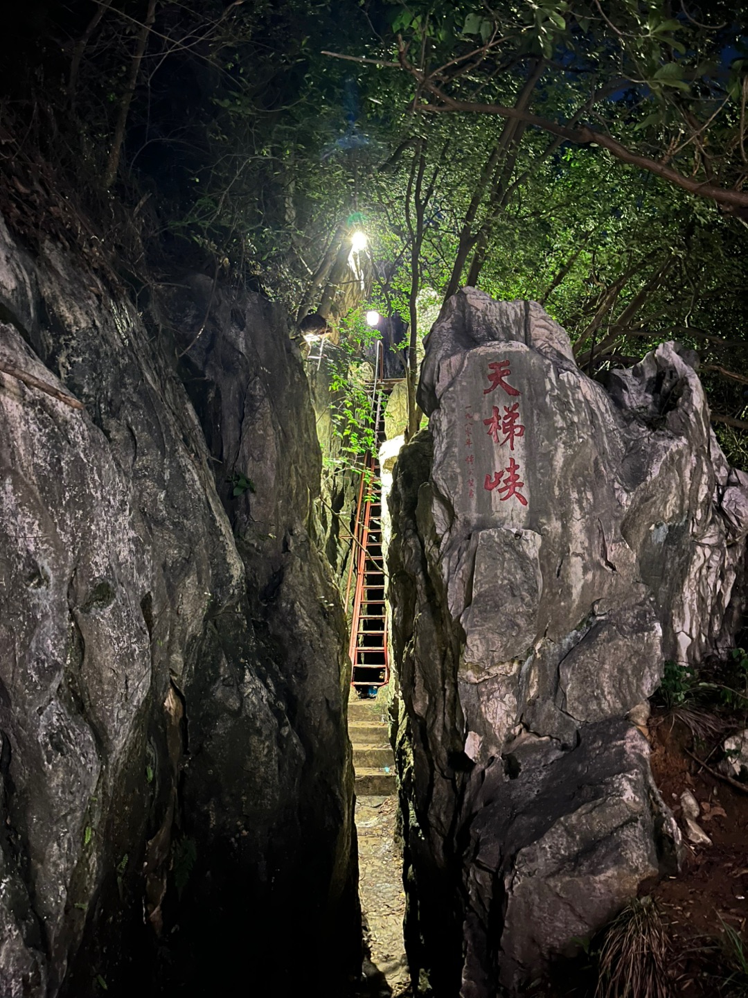 夜爬