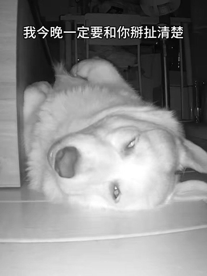 我今晚一定要和你掰扯清楚