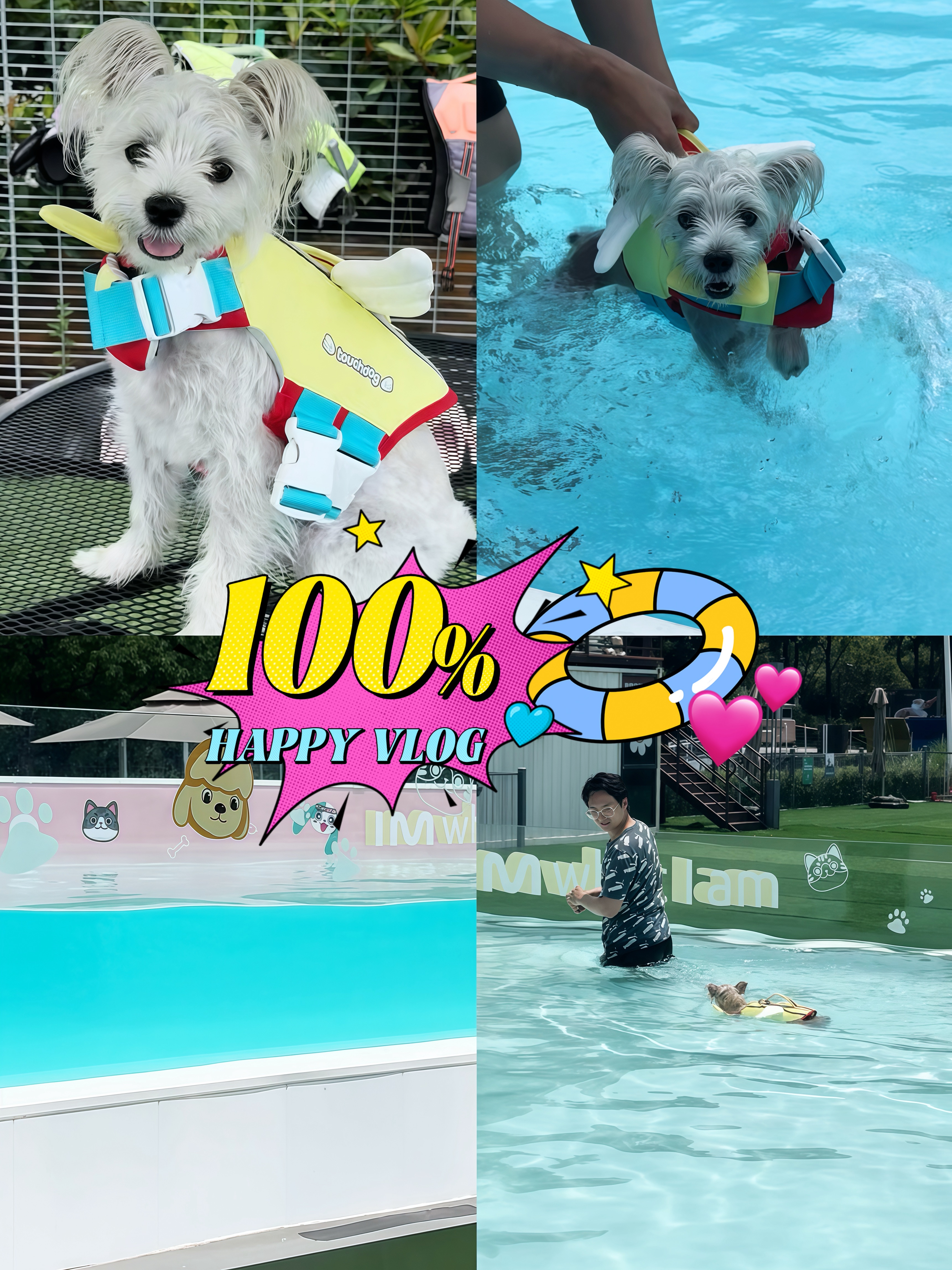 🐶少女心爆棚！玩小伴网红狗狗泳池避暑圣地💦