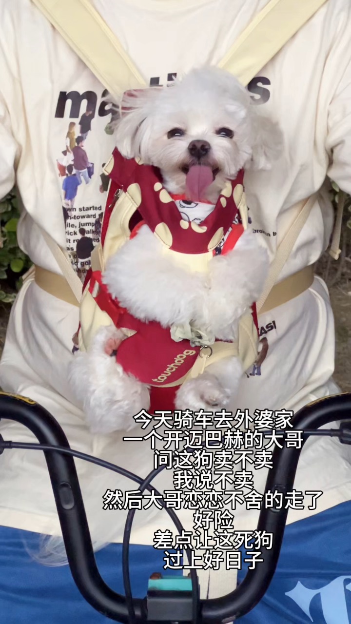 好险！差点就让它过上好日子了