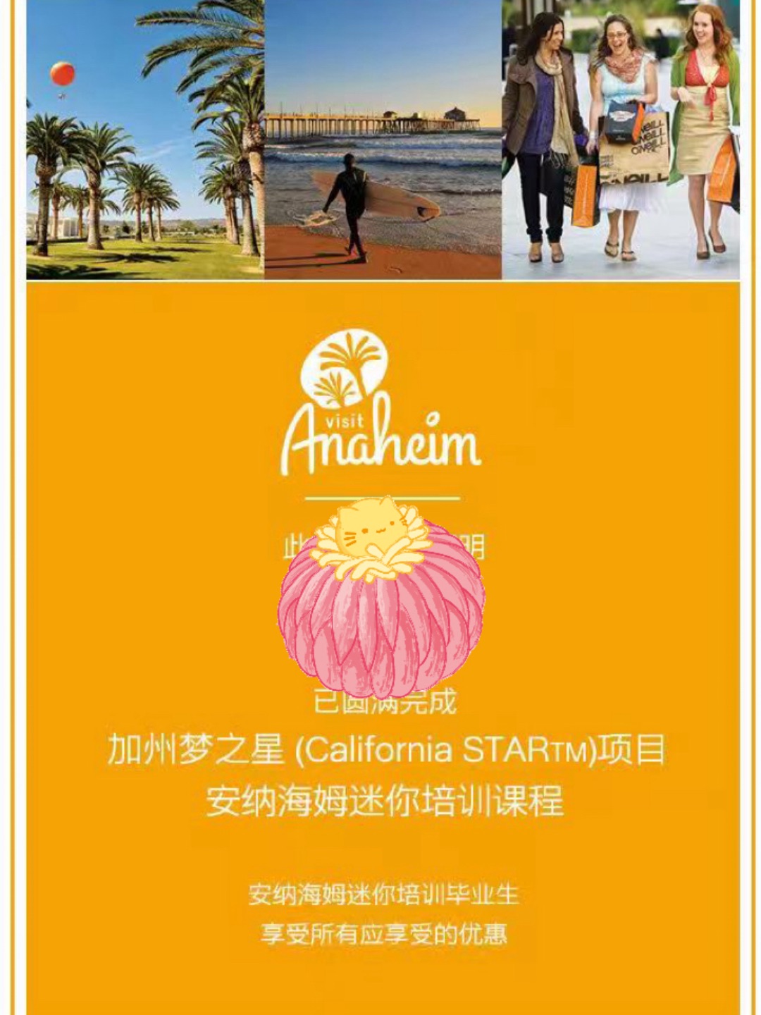 加州梦之星3