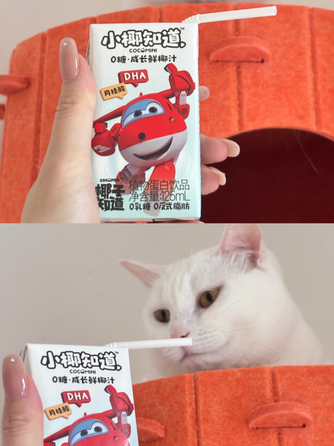 西五街