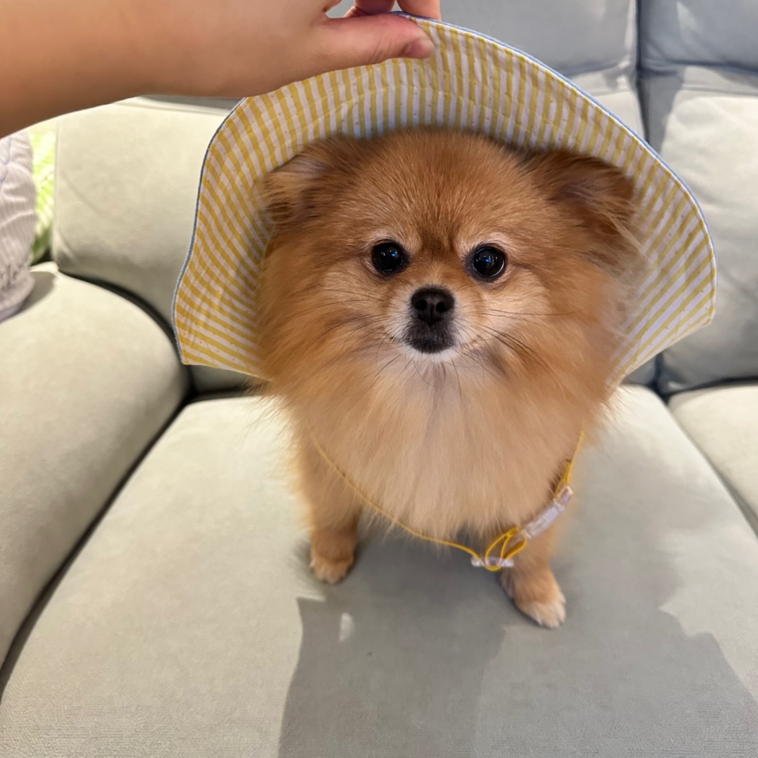 当我给小抖买帽子忘记看尺寸