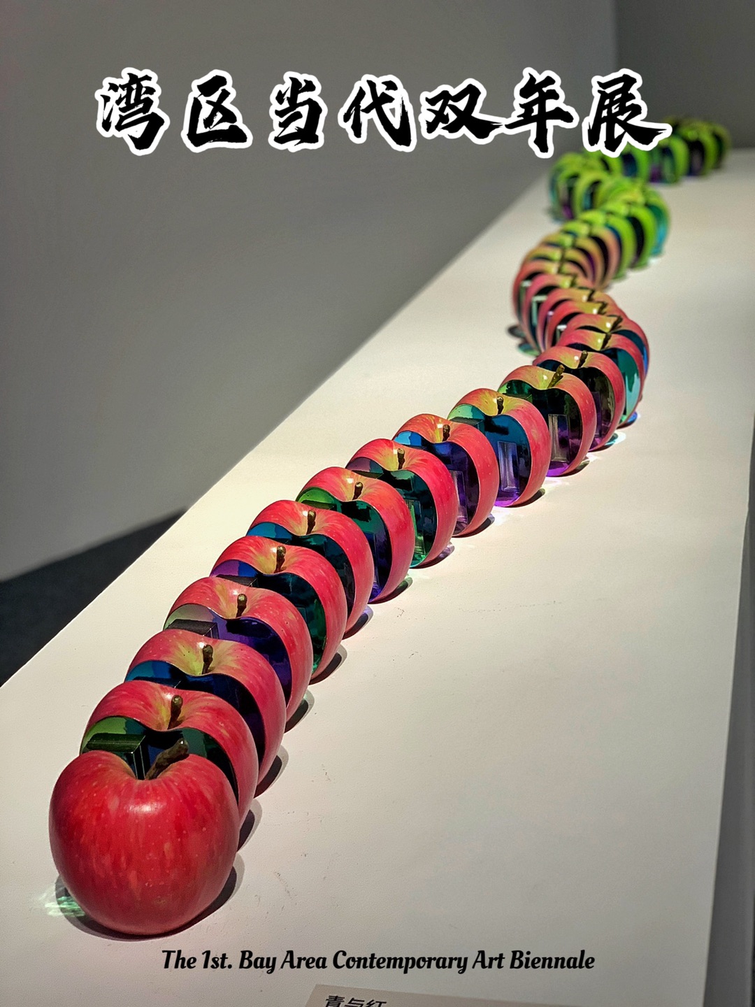 广州看展丨湾区当代双年展--艺术的影响力