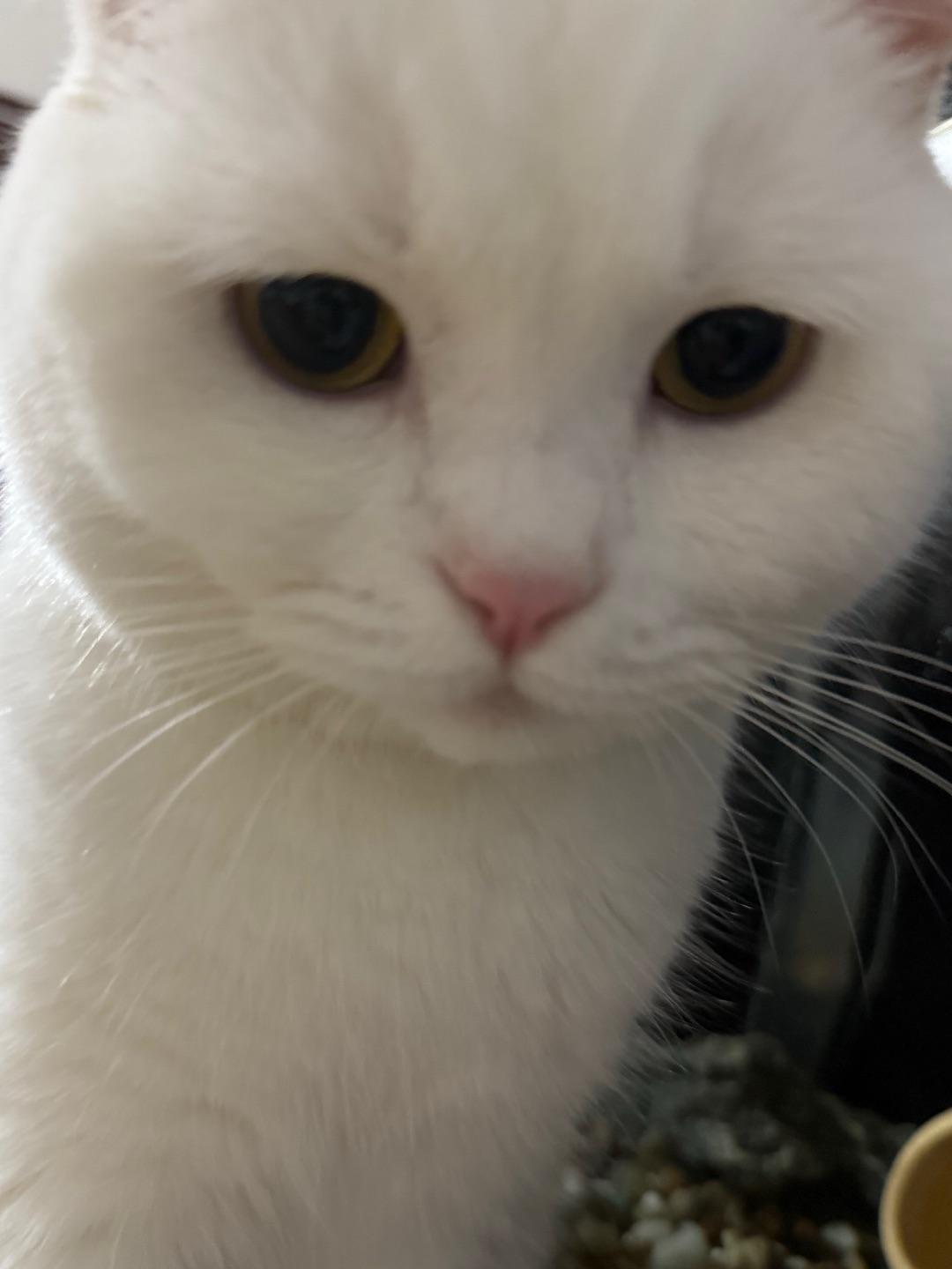 解锁新角度🫟