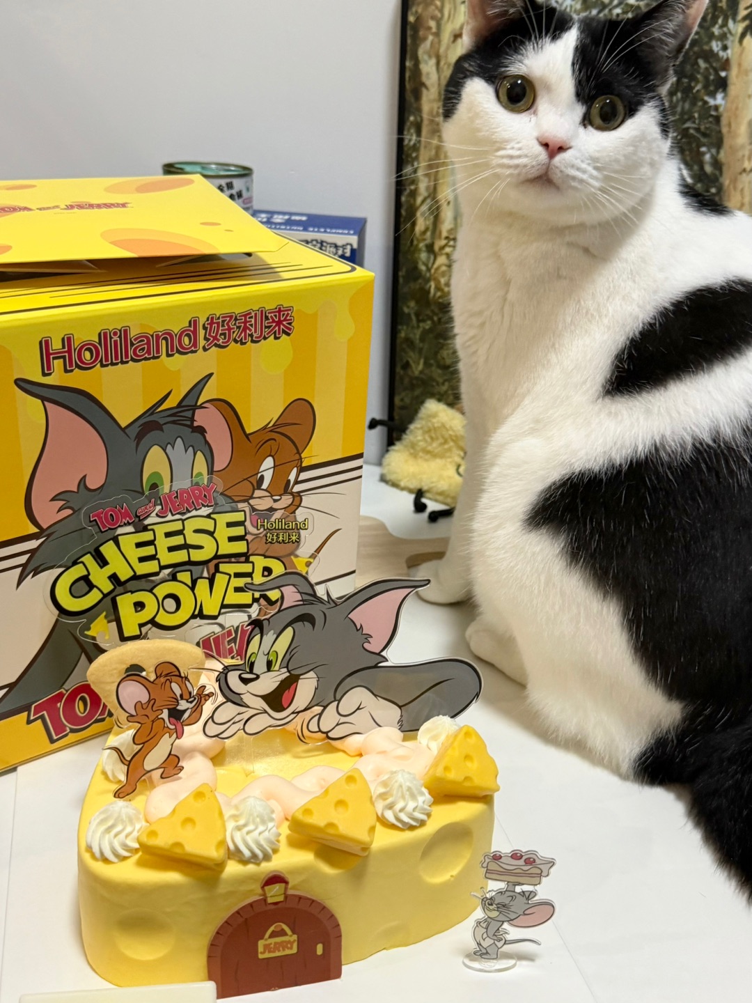 我们一家人都喜欢猫和老鼠