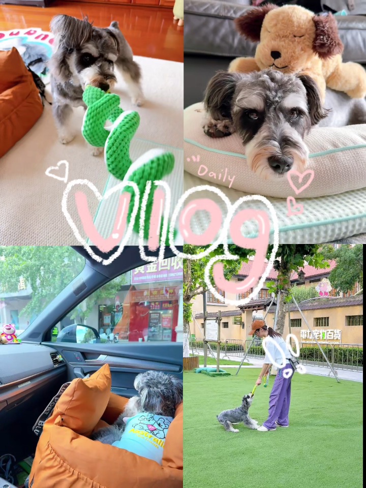 坐上🐕专属副驾