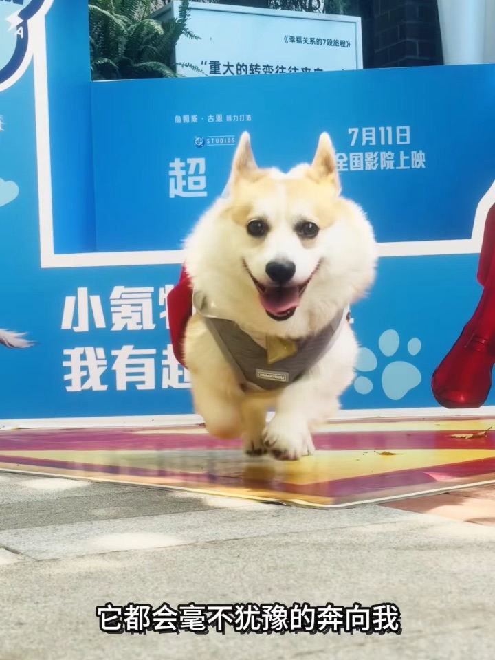 超人有超狗小氪🦸🏻♂️我有超狗雪糕🐶