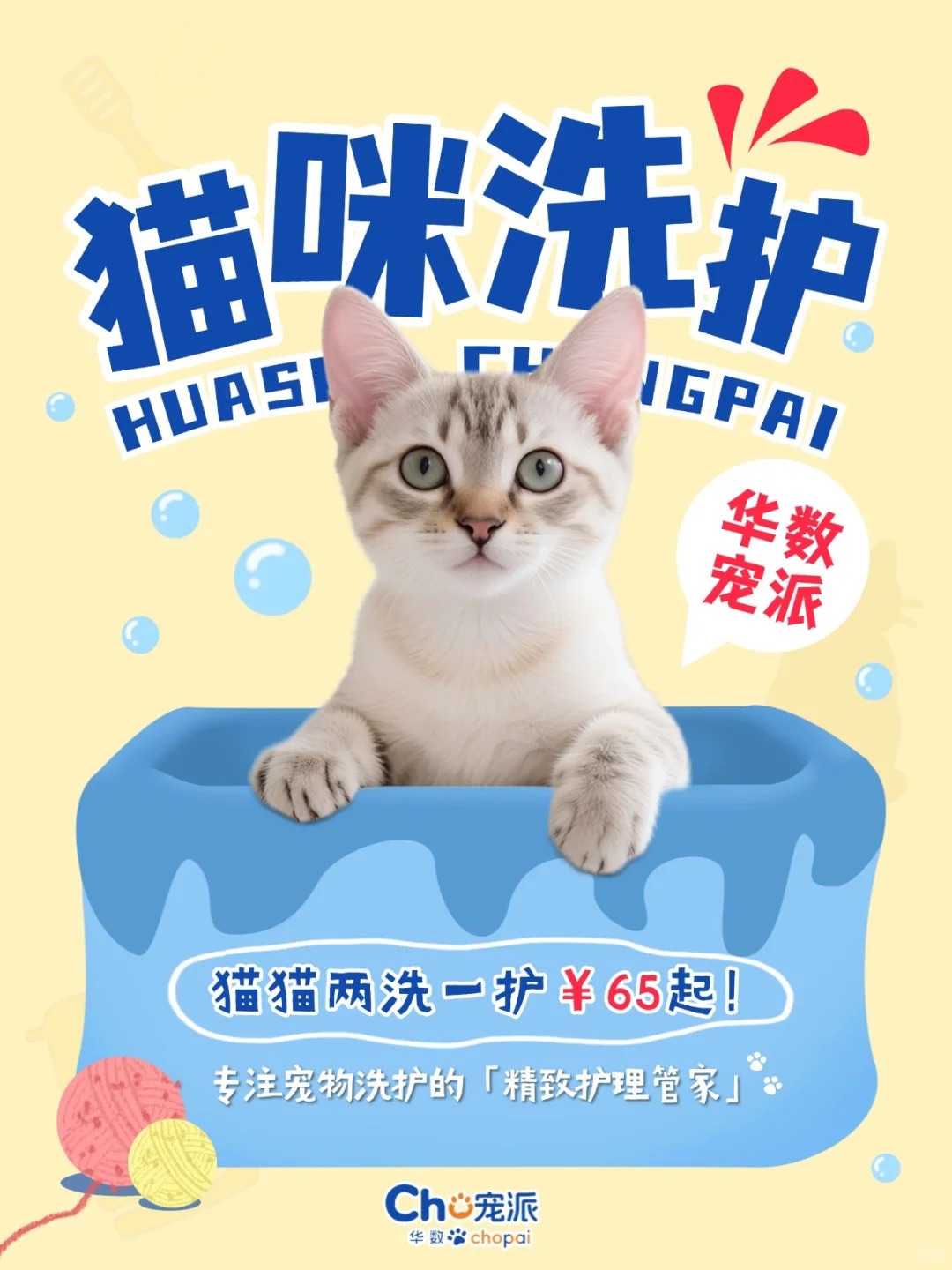 华数宠派|猫猫两洗一护￥65起！清爽一夏