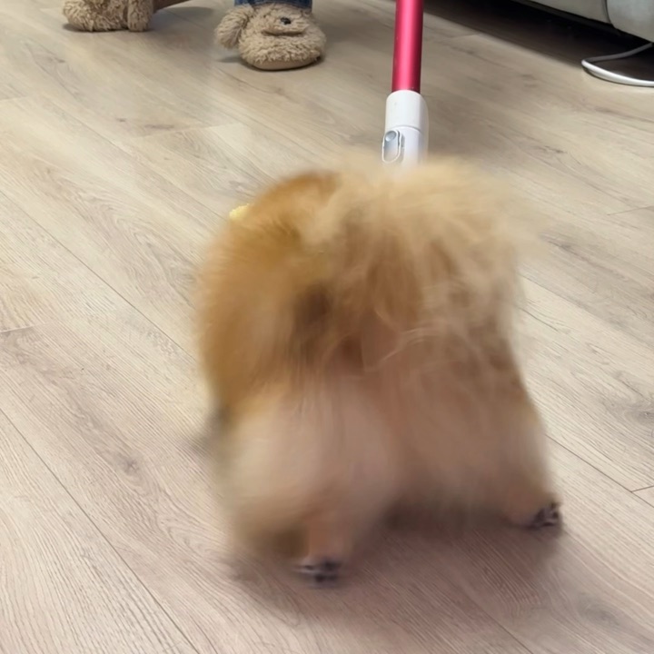人，一次看的电臀舞