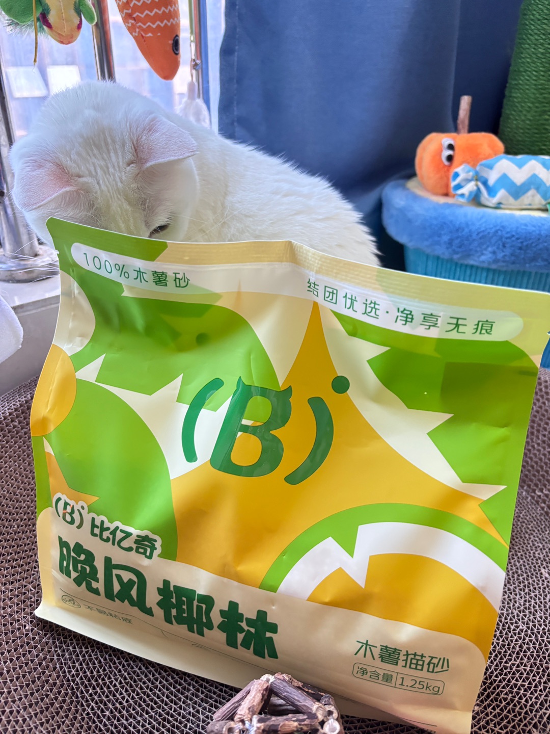 西五街