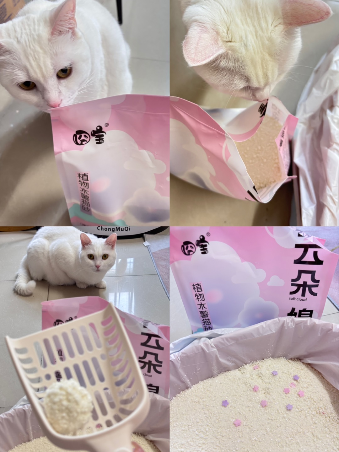 7.12囧宝云朵绵绵猫砂