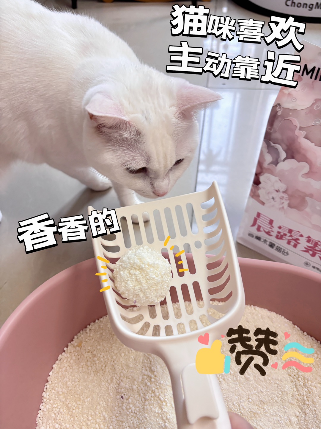 西五街