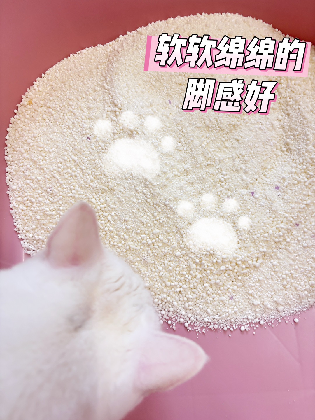 西五街