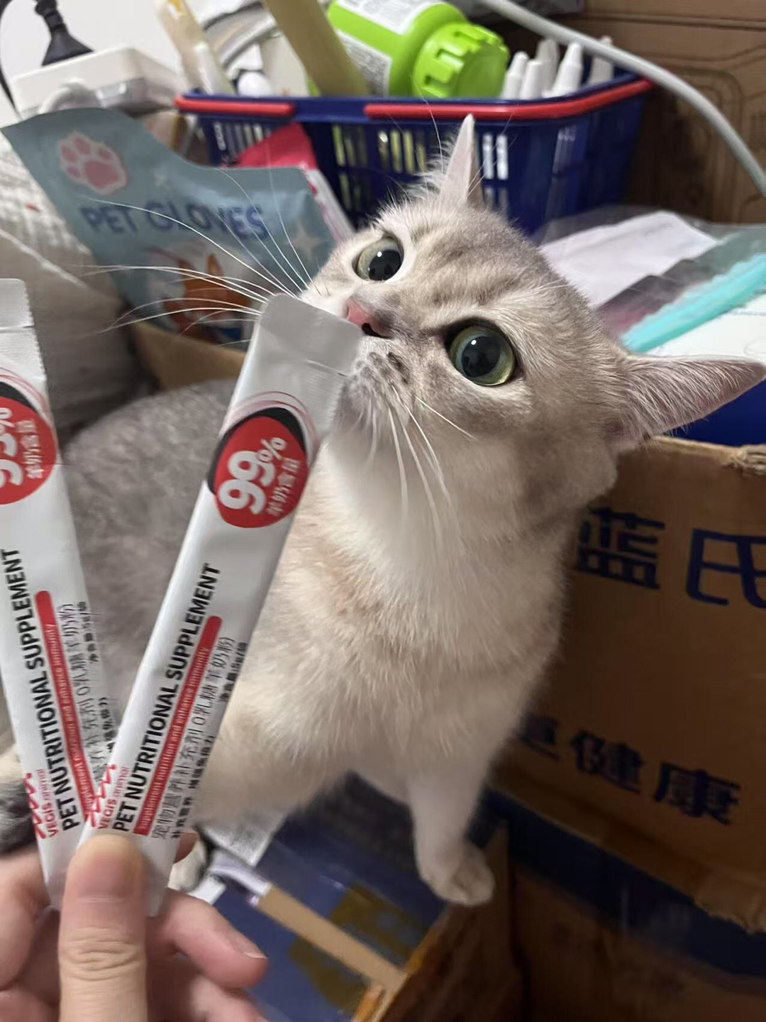 抓住一只贪吃宝宝