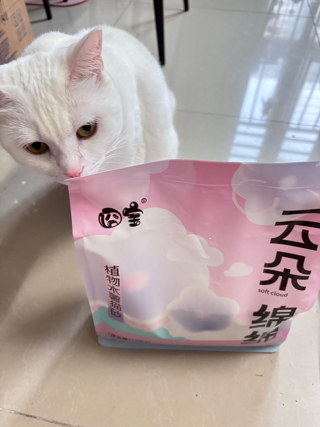 西五街