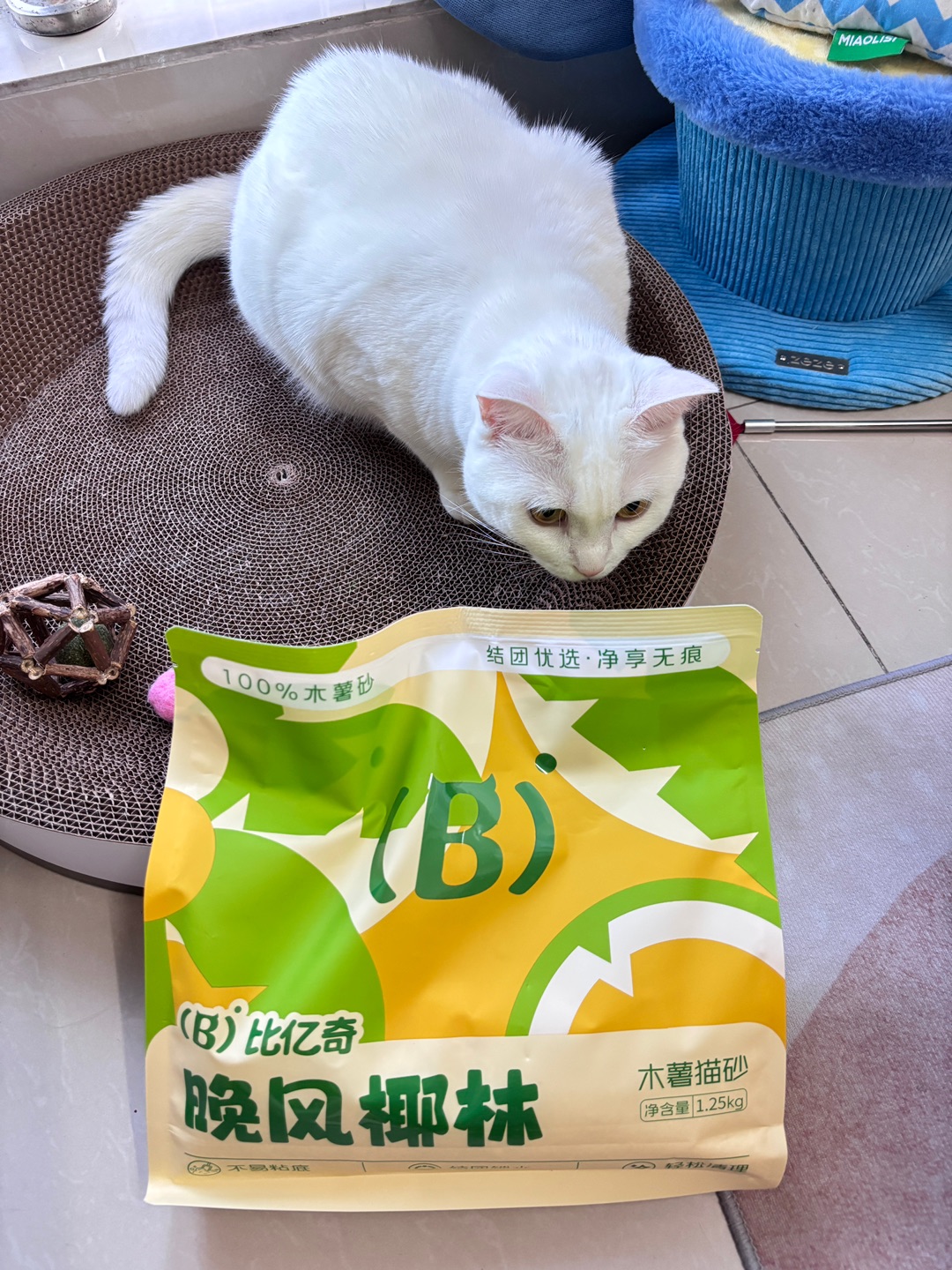 西五街