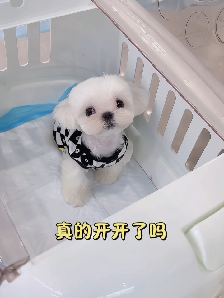 我妈真的给我开空调了吗？