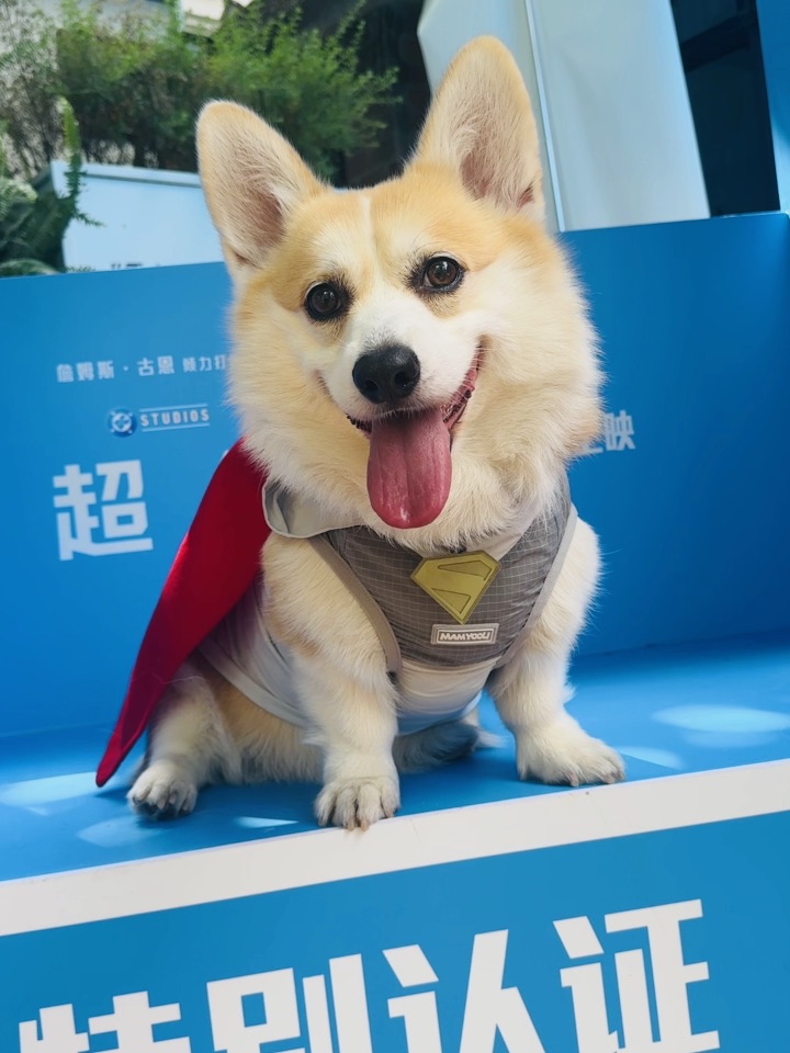 超狗披风真的好帅啊