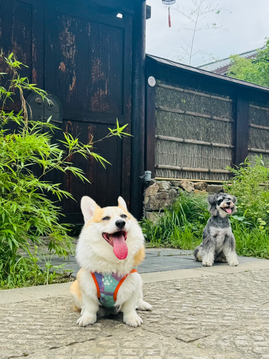 和小伙伴出来玩咯