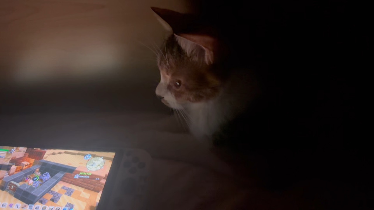 可爱