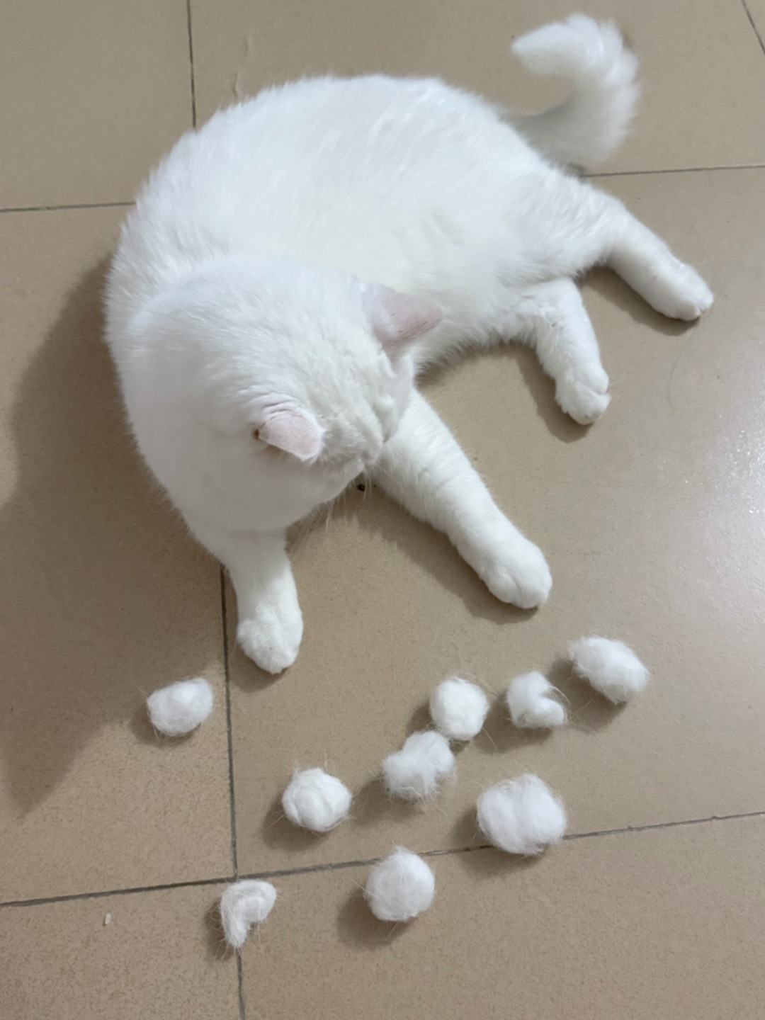 西五街