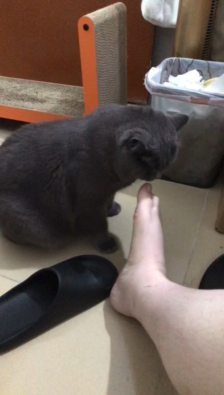 奇怪的小癖好