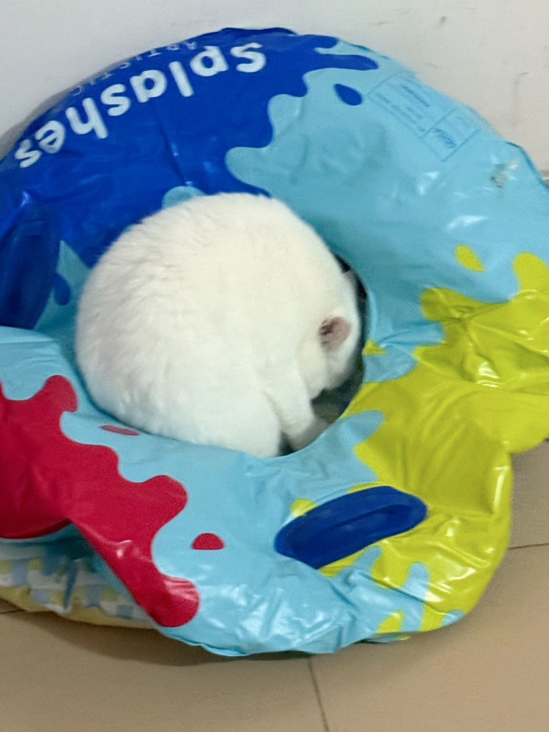 西五街