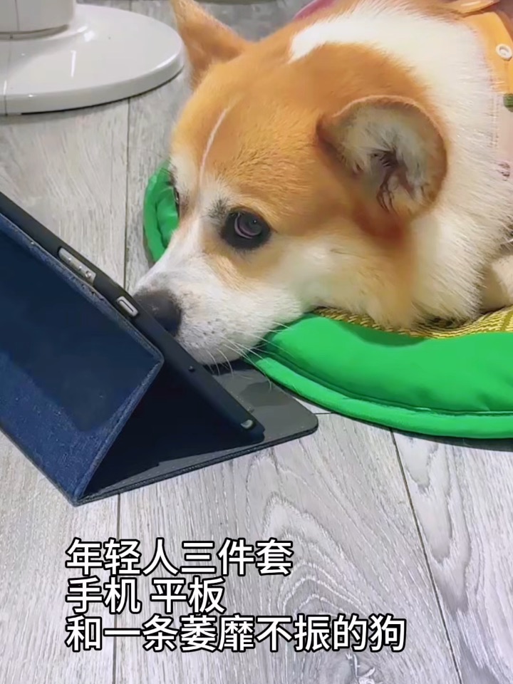 年轻人三件套…