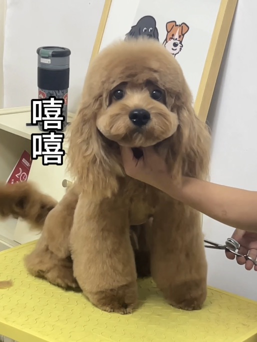 Cuca's Daily 美容后嘻不嘻