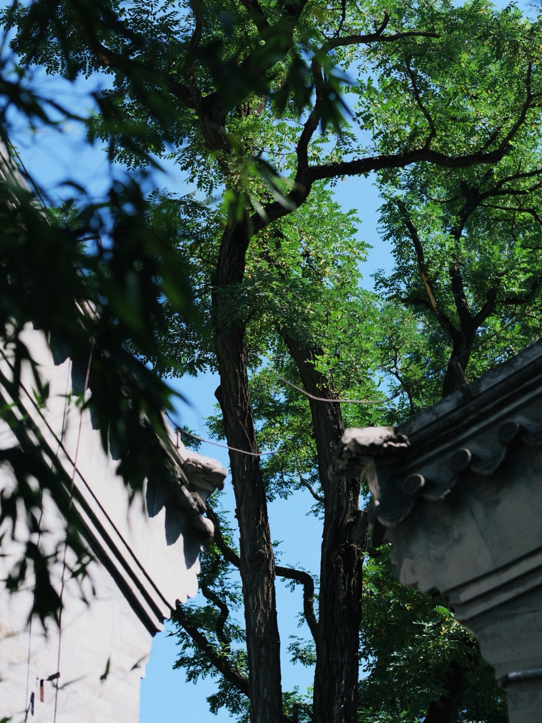 西五街
