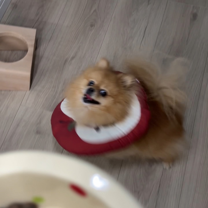 不是，吃个饭这么激动的吗